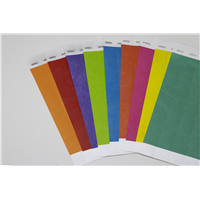 Motor Speedway Tyvek Wristbands